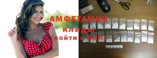 шишки Абинск