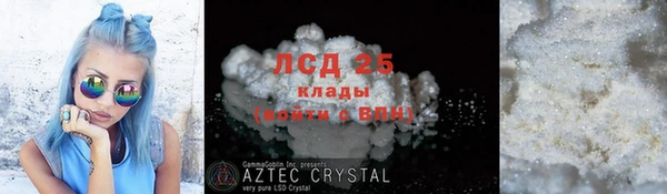 ГАЛЛЮЦИНОГЕННЫЕ ГРИБЫ Алзамай