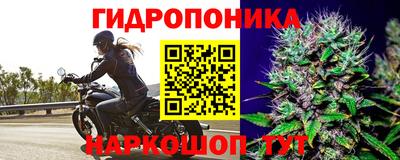 марки lsd Кингисепп