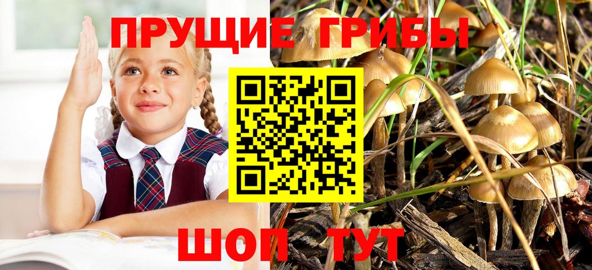Галлюциногенные грибы мицелий  Вход с VPN  Красноуфимск 