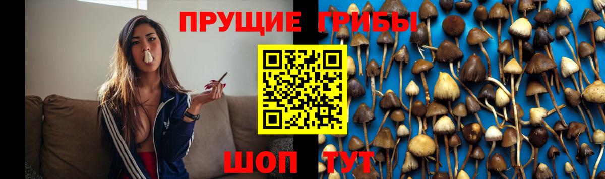 Псилоцибиновые грибы GOLDEN TEACHER Красноуфимск